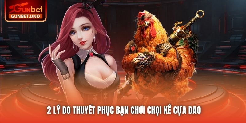 2 lý do thuyết phục bạn chơi chọi kê cựa dao