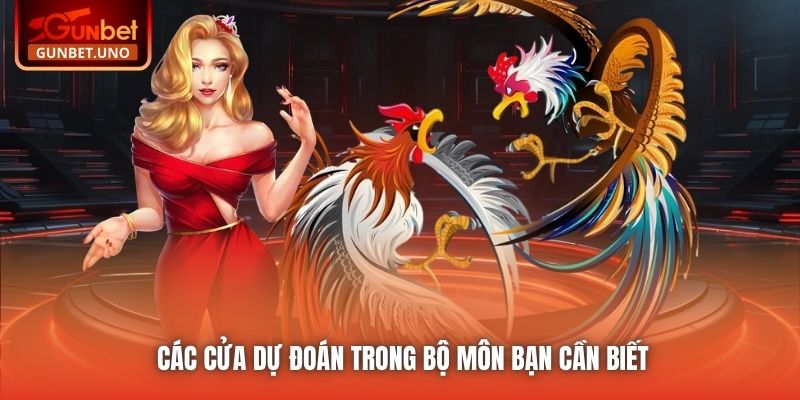 Các cửa dự đoán trong bộ môn bạn cần biết