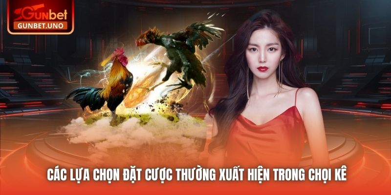 Các lựa chọn đặt cược thường xuất hiện trong chọi kê