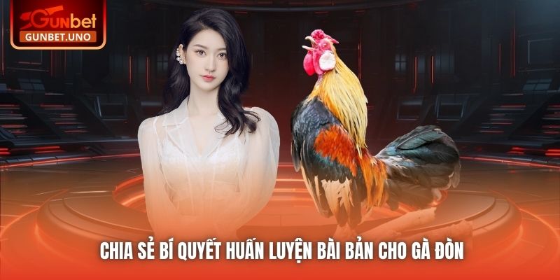 Chia sẻ bí quyết huấn luyện bài bản cho gà đòn