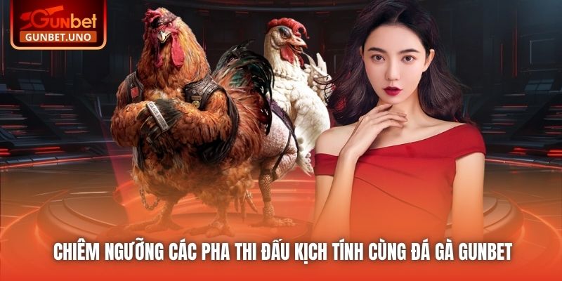 Chiêm ngưỡng các pha thi đấu kịch tính cùng Đá gà Gunbet