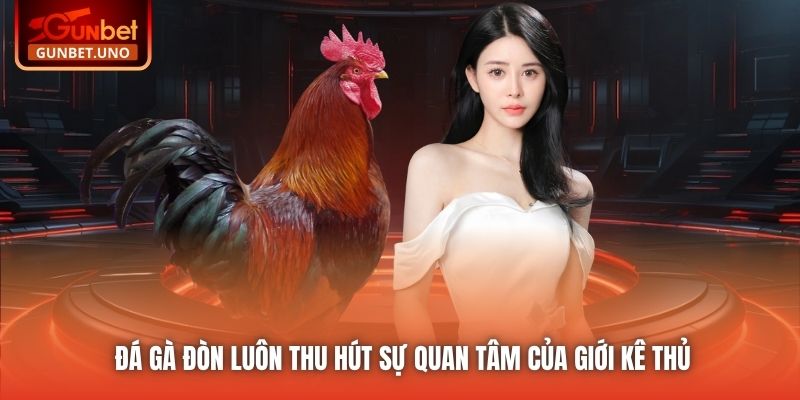 Đá gà đòn luôn thu hút sự quan tâm của giới kê thủ