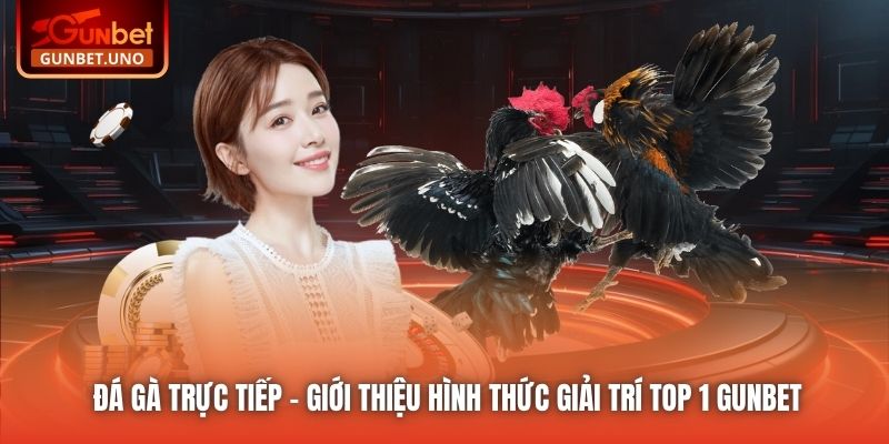 Đá Gà Trực Tiếp - Giới Thiệu Hình Thức Giải Trí Top 1 Gunbet