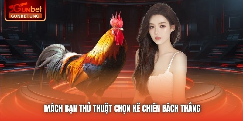 Mách bạn thủ thuật chọn kê chiến bách thắng