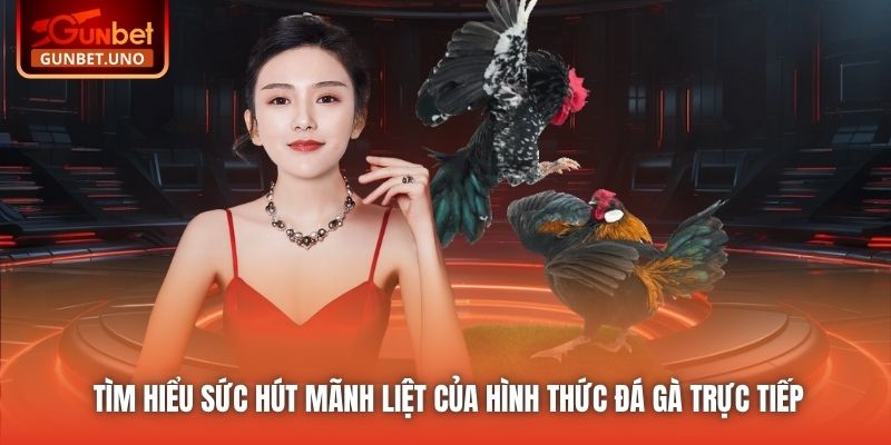 Tìm hiểu sức hút mãnh liệt của hình thức đá gà trực tiếp